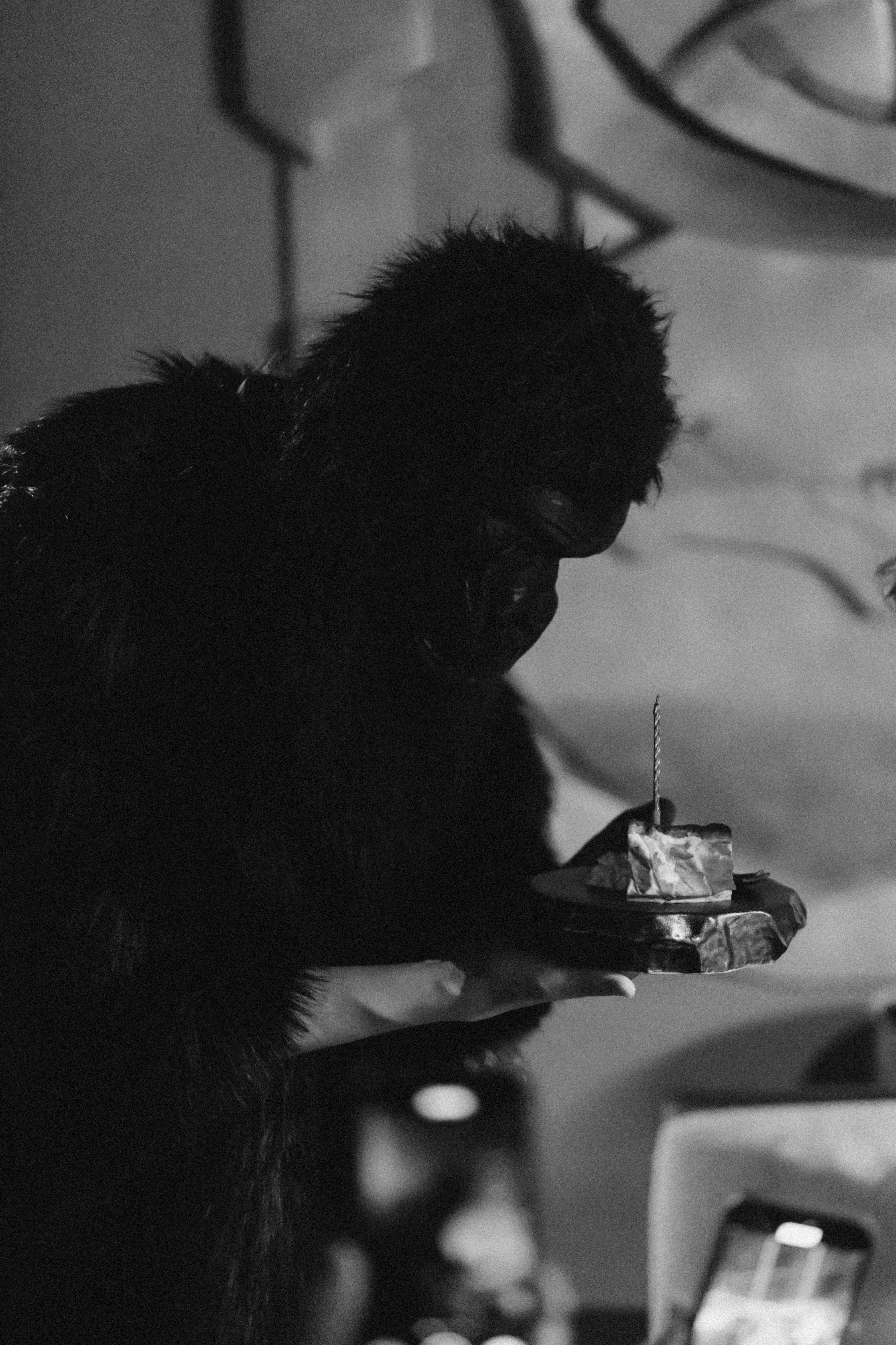 THE MONKEY